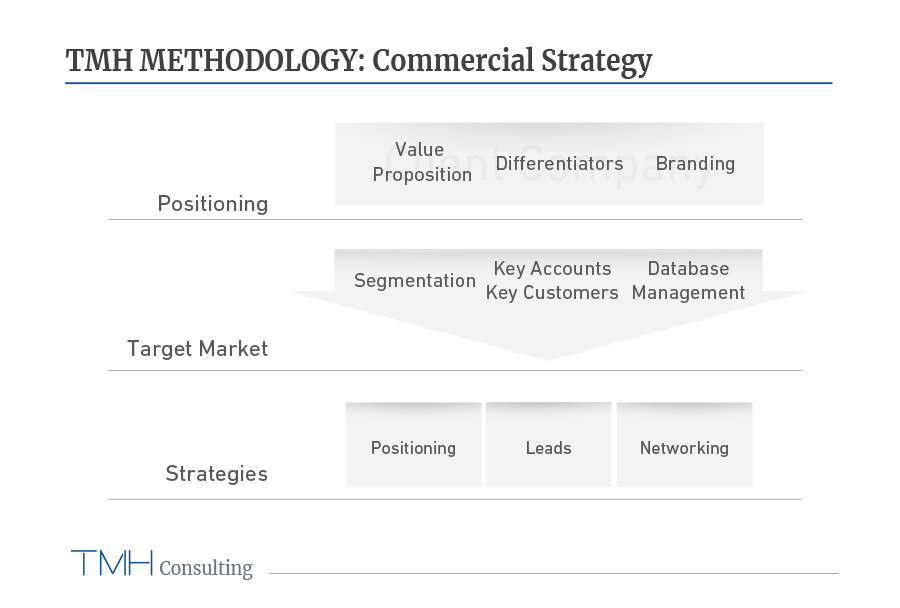 tmh-methodology_13.png